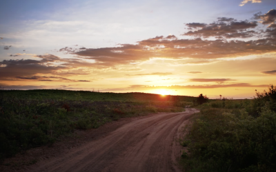 Discover the Barrens of Bayfield: Moquah, Bass Lake, & Barnes